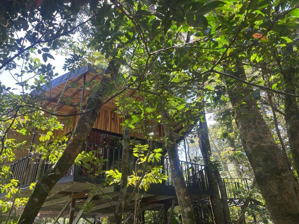 Cabanas Roca Verde Monteverde Luaran gambar