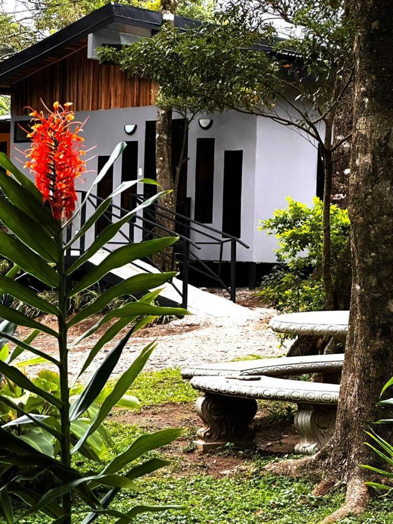 Cabanas Roca Verde Monteverde Luaran gambar
