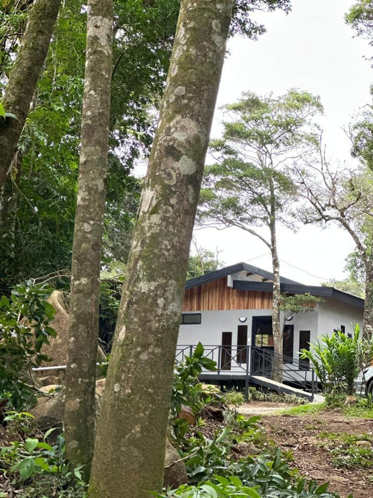 Cabanas Roca Verde Monteverde Luaran gambar