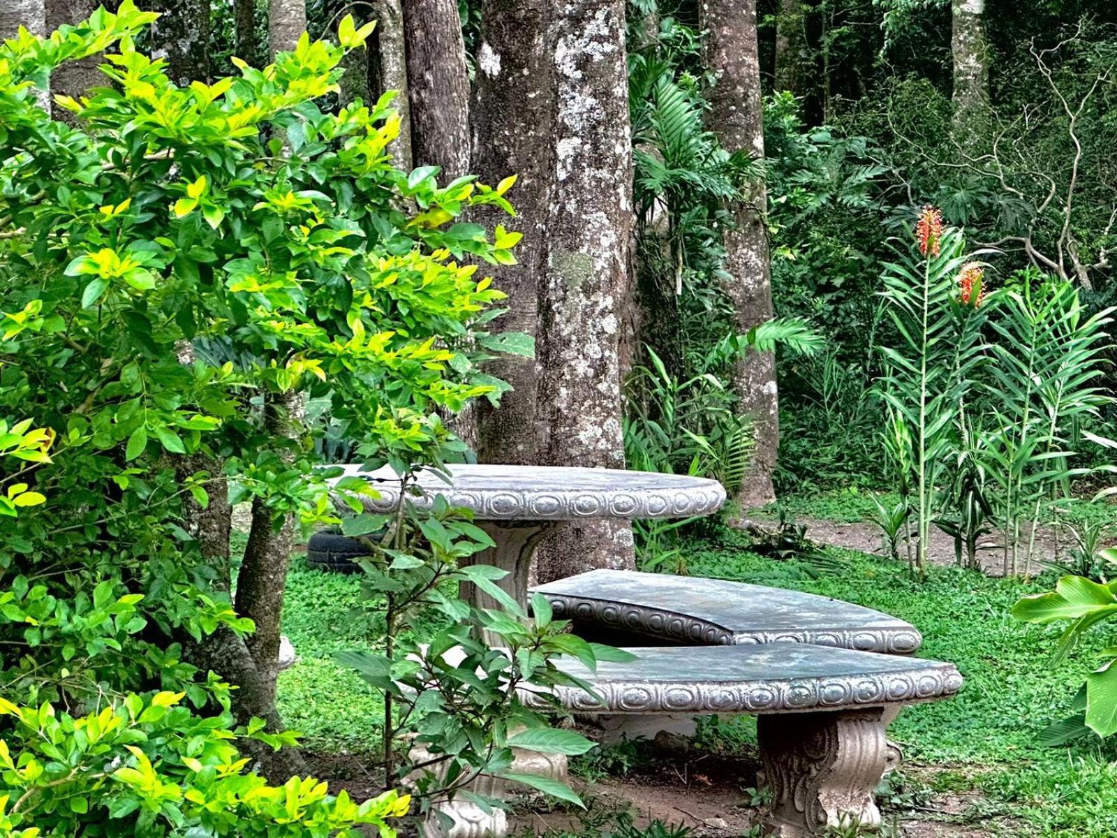 Cabanas Roca Verde Monteverde Luaran gambar